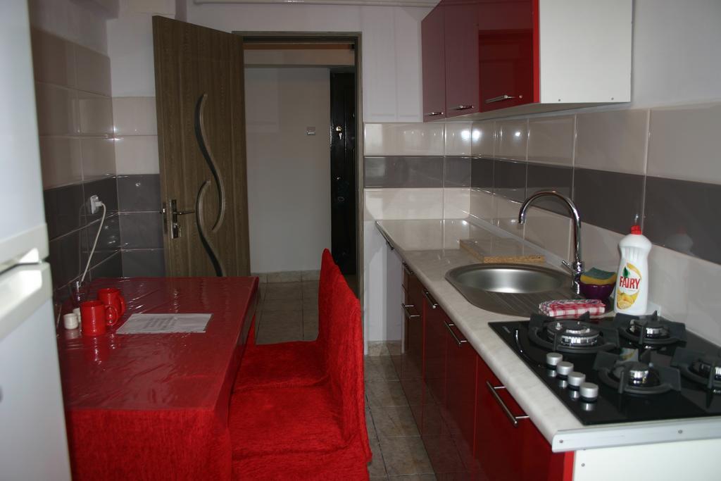 Salonul Rosu Apartment Bacau Ngoại thất bức ảnh