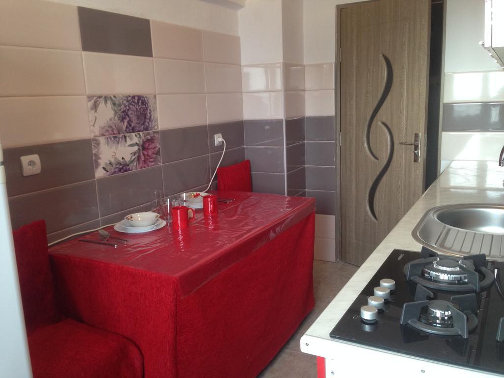 Salonul Rosu Apartment Bacau Ngoại thất bức ảnh